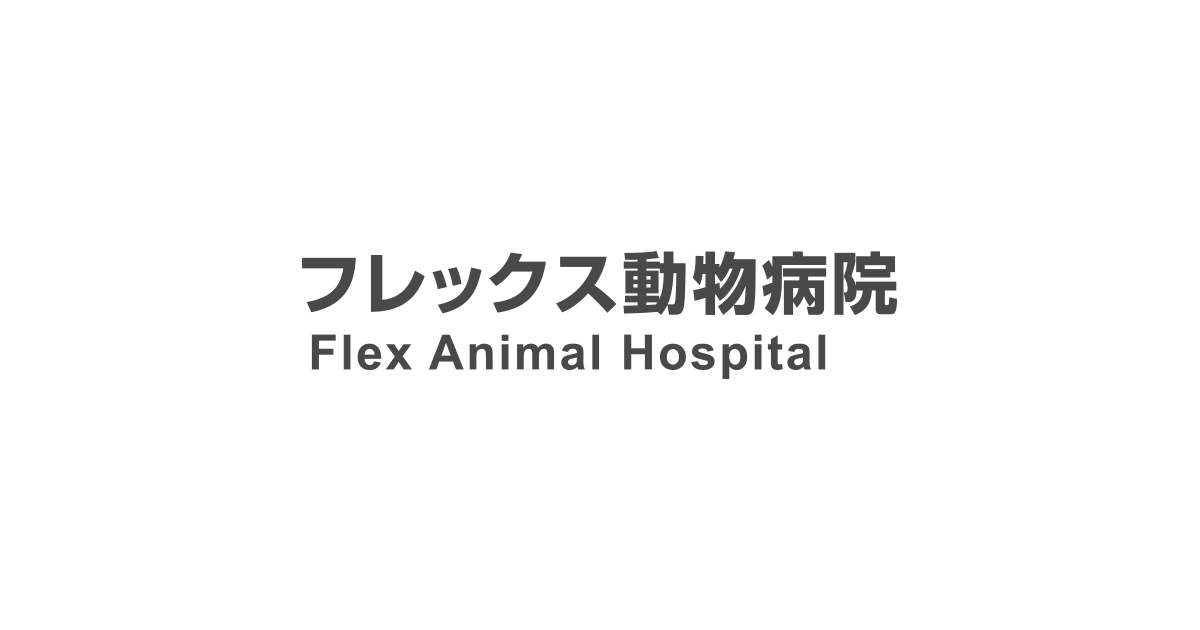 フレックス動物病院は大阪市北区で最適な治療法を行う動物病院